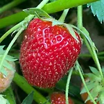 Wellness Boží Oko Penzion Malé Chrášťany