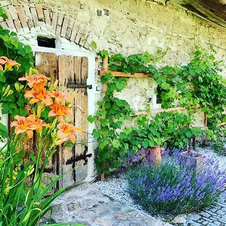 Wellness Bozi Oko Maison d'hôtes 4*