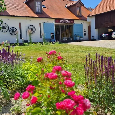 Wellness Boží Oko Penzion 4*