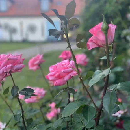 Wellness Boží Oko Gasthof