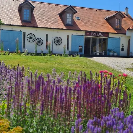 Wellness Boží Oko 4* Malé Chrášťany