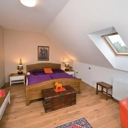 Wellness Bozi Oko 4* Malé Chrášťany