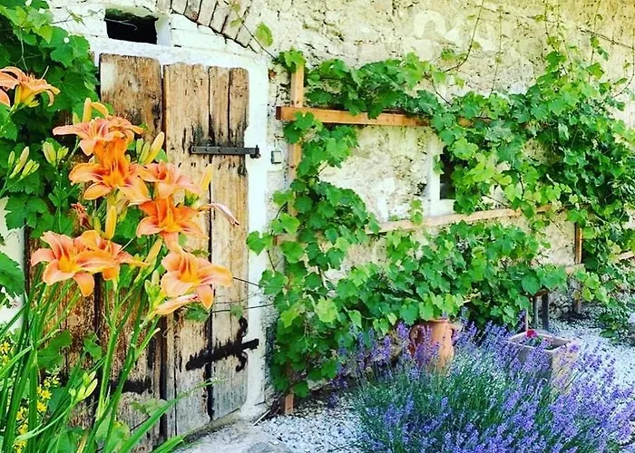 Wellness Bozi Oko Maison d'hôtes 4*