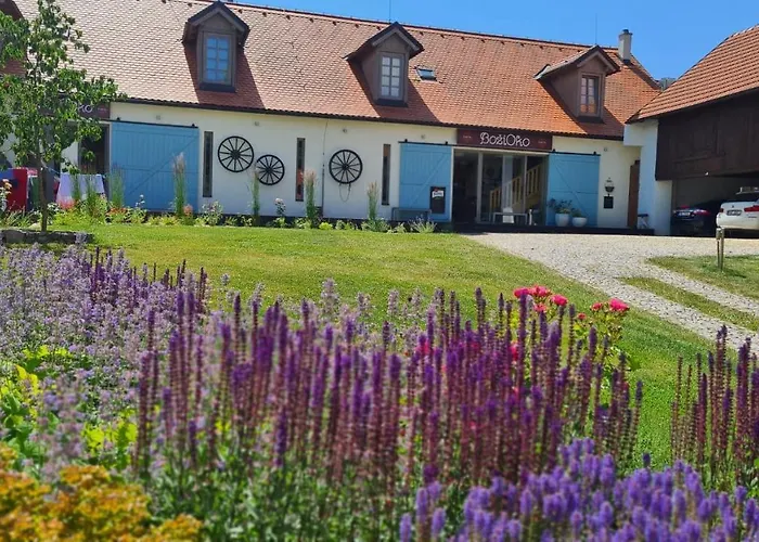 Wellness Bozi Oko 4* Malé Chrášťany
