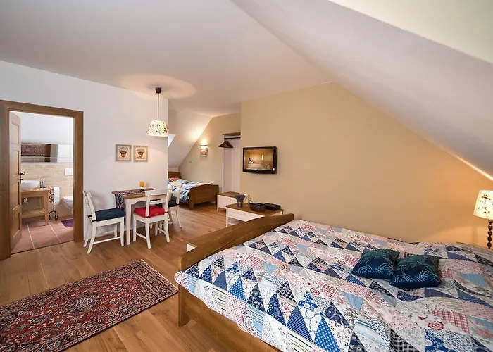 Maison d'hôtes Wellness Bozi Oko 4*