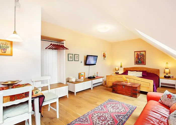 Πανσιόν Wellness Bozi Oko 4*